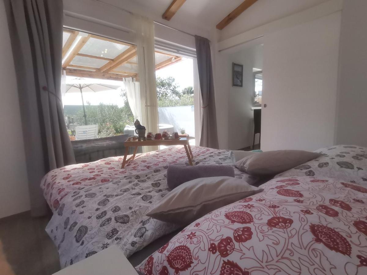 Villa Molo Novigrad  ภายนอก รูปภาพ
